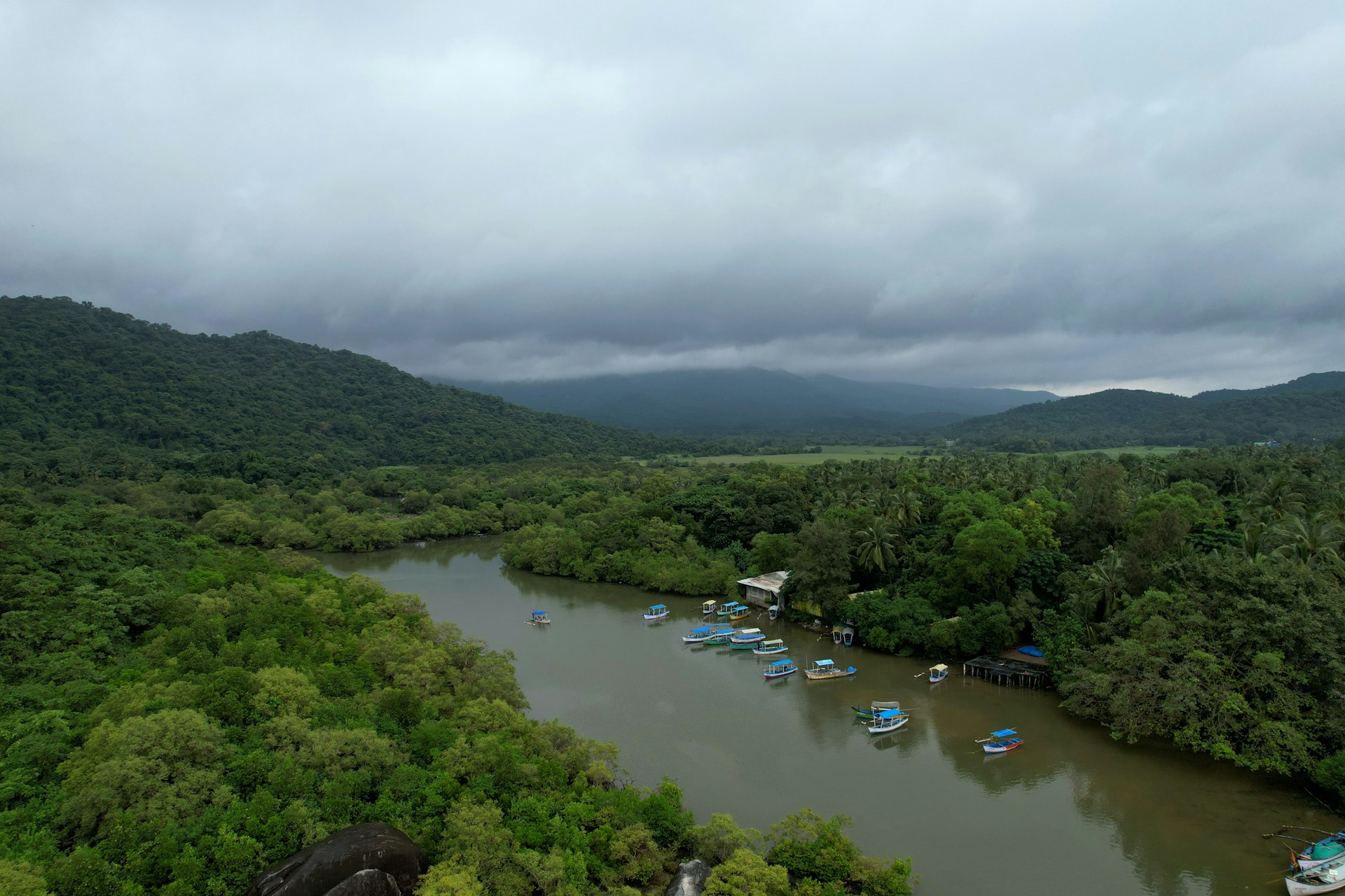 Marché Anjuna Goa